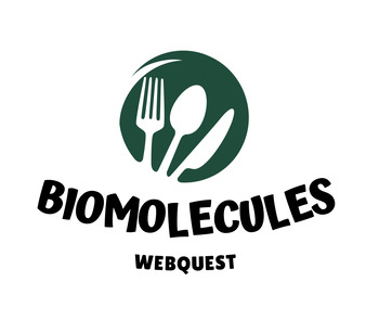 Preview of Biomolecules Webquest