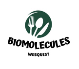 Biomolecules Webquest