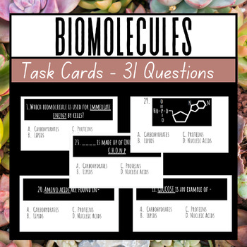 Preview of Biomolecules Whiteboard Practice |  Google Slides