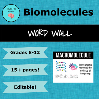 Preview of Biomolecules Word Wall