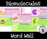 Biomolecules Macromolecules ESL Word Wall Biology Word Wal