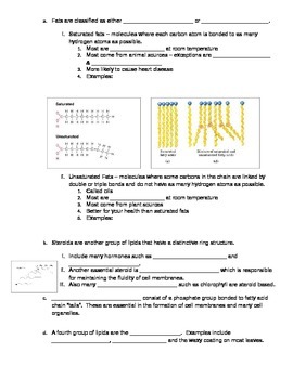 Biomolecules Worksheet by A really great teacher | TpT