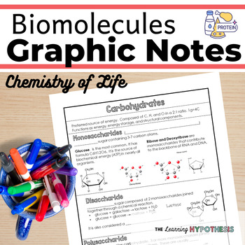 Preview of Biomolecules Worksheet.  Graphic Notes.  Digital and Print. Distance Learning.