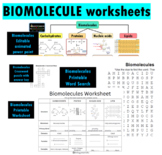 Biomolecules Worksheet with answer key, Comparison Table, 