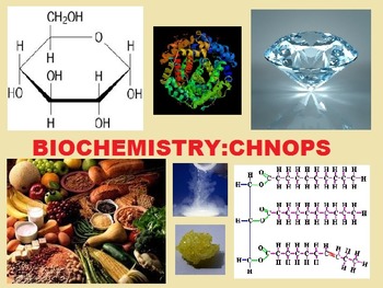 Preview of Biomolecules and CHNOPS PowerPoint