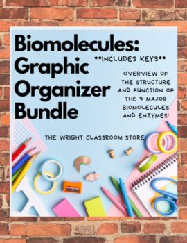 Preview of Biomolecules and Enzymes Graphic Organizer Bundle *EDITABLE*