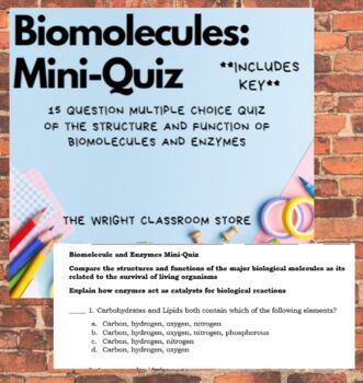 Preview of Biomolecules and Enzymes Multiple Choice Mini Quiz! w/Key