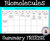 Biomolecules Macromolecules and Enzymes Review Table Biology