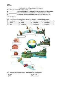 Preview of Biosphere, Levels of Ecological Organization - Worksheet (Printables)