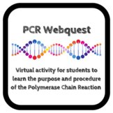 Biotechnology- PCR Webquest- Polymerase Chain Reaction Vir