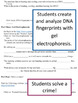 Biotechnology Virtual Lab Worksheets by The Biophile's Classroom