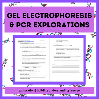 Preview of Gel Electrophoresis & PCR Biotechnology Exploration- NO key- AP Bio Advanced Bio