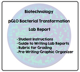 Biotechnology- pGLO Bacterial Transformation Lab- Writing 