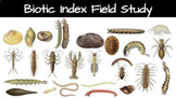 Biotic Index Field Study