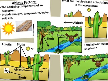 Biotic and Abiotic Factors by Science Station | TpT