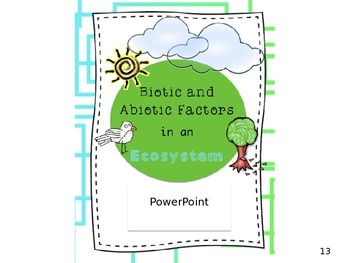 Preview of Biotic and Abiotic Factors in an Ecosystem: PowerPoint