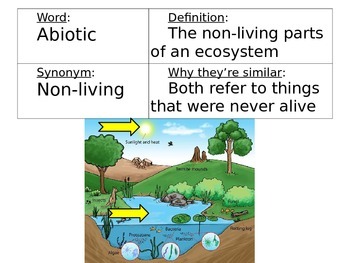 abiotic vs biotic factors answer key