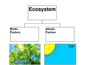 abiotic factors in an ecosystem