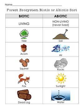 Biotic or Abiotic Sort Cut and Paste (Living or Nonliving) by Scienceisfun
