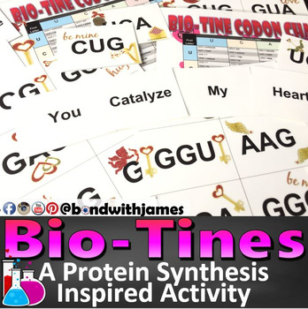 Preview of Biotines: Valentine’s Day Transcription & Translation Protein Synthesis Activity