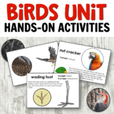 Montessori Bird Unit Study: Anatomy, Habitats, and Types of Birds