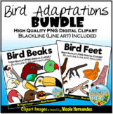 Bird Adaptations  (Beak and Feet) Clipart BUNDLE