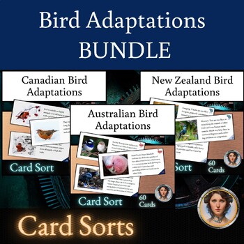 Preview of Bird Adaptations Card Sort BUNDLE | Structural Behavioral and Physiological