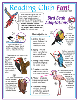 Bird Adaptations Crosswords Word Search Beak Feet Adaptation Puzzles