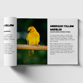 Bird: American Yellow Warbler - Reading, Coloring Sheet, a
