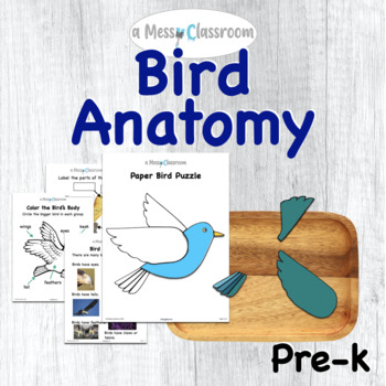 Preview of Bird Anatomy Thematic Unit Lesson Plan