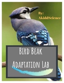 Bird Beak Adaptation Lab (Evolutionary Theory)
