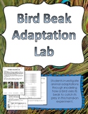 Bird Beak Adaptation Lab Experiment