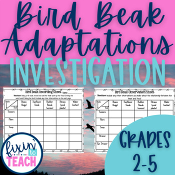 Preview of Bird Beak Adaptation Science Activity for Upper Elementary Science | Editable