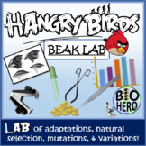 Bird Beak Adaptation and Natural Selection Lab