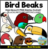Bird Beak (Adaptations) Clipart for Commercial Use