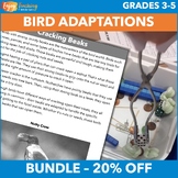 Bird Adaptations Activity Bundle – Beak Lab + Animal Struc