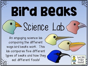 Preview of Bird Beak Science Lab - Comparing Different Types of Bird Beaks
