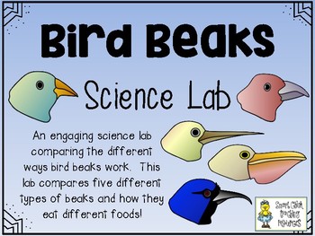 Pterosaurs and Birds - How do they compare? - Dumbacher Lab