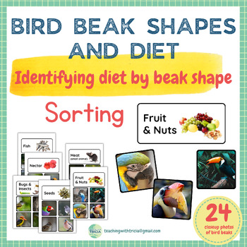 Preview of Bird Beak Shapes and Diet: Sorting Activity, Differentiated, Real Photos