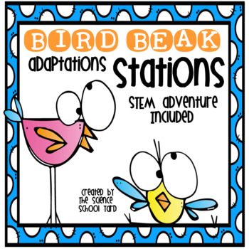 Preview of Bird Beak Stations and STEM Connections