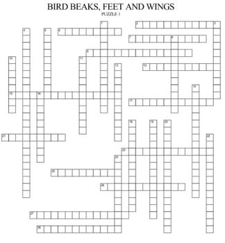 Bird Beaks Feet and Wings Crossword Puzzles by Ah Ha Lessons TpT