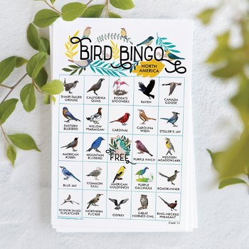 Preview of Bird Bingo (North America) - 50 Cards