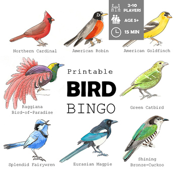 Preview of Bird Bingo Printable Game