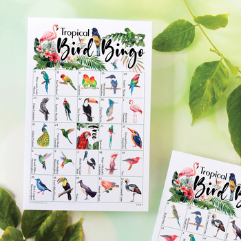 Preview of Bird Bingo (Tropical) - 50 Cards