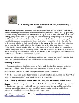 Preview of Bird Biodiversity: Knowing the Bird Groups (Orders)