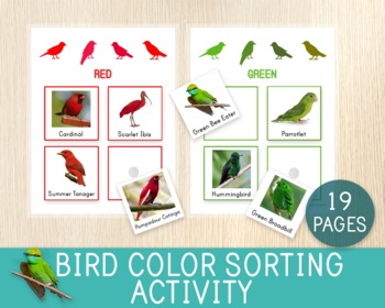 Preview of Bird Color Sorting Activity, Colors and Birds for Kids, Science Centers