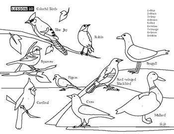 red robin bird coloring page