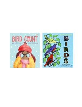 Preview of Bird Count (Graphing, Winter, Print and Digital)