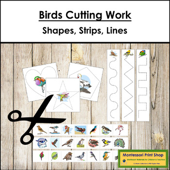 Preview of Birds Cutting Work - Scissor Practice