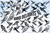 Bird Delights Font